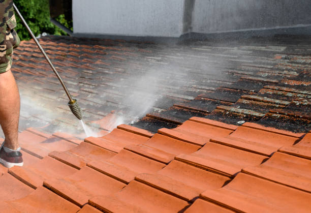 Local Pressure Washing Services in Port Neches, TX